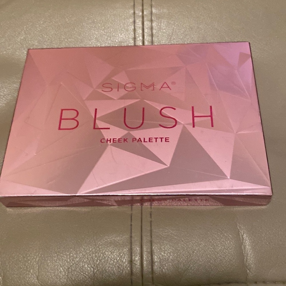 NWOT Blush pallet